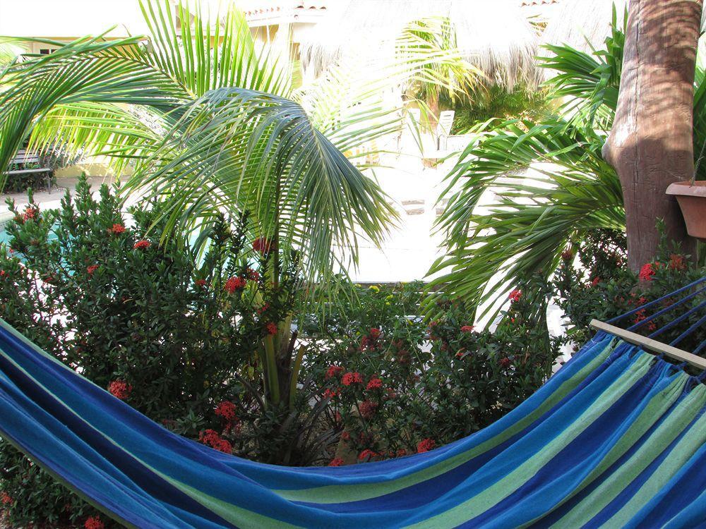 Aruba Tropic Apartments Noord Eksteriør billede